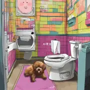 如何鼓励泰迪狗狗上厕所?