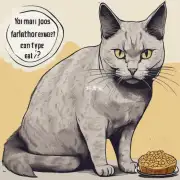 猫咪每天吃多少类型的脂肪?