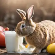 小兔每天喝多少牛奶?