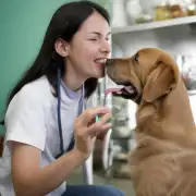 狗嗅觉如何帮助人类治疗疾病?
