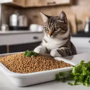 如何选择合适的猫粮配方?