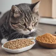 如何正确测量猫粮的量?