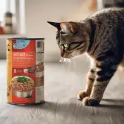 如何选择适合猫粮的口味?