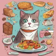 猫咪每天吃多少克的粮?