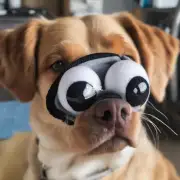 如何用袜子打造一只小狗的眼睛动画?