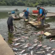 中午鱼的饮食习惯如何?