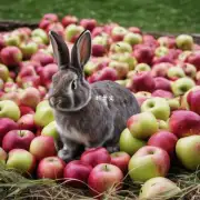 小兔子吃多少颗苹果?