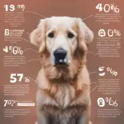 狗在不同的年龄段感觉热多少度?