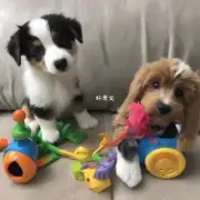 以德牧幼犬多久开始学会用玩具?