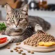 如何确保猫粮的健康?