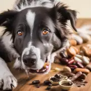 狗吃葡萄糖后会有什么样的副作用?