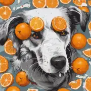 为什么狗不喜欢吃橘子?