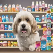 如何选择合适的宠物护理产品?