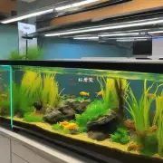 鱼缸水草发黄如何改善水生生物的繁殖?