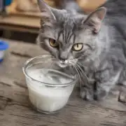 为什么奶猫不能从牛奶中获得水分?