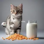 为什么奶猫不能从牛奶中获得维生素?