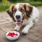狗狗在吃酸奶时有什么与健康相关的健康问题?
