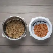 如何选择适合猫粮的尺寸?