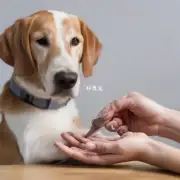 如何用手指引导狗狗去除指甲?