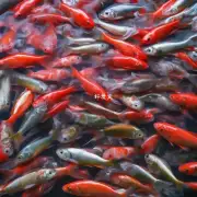 热水鱼的疾病预防和治疗如何?