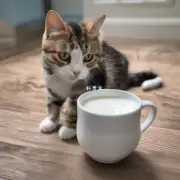 为什么奶猫不能从牛奶中获得蛋白质?