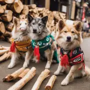 日本柴犬的文化价值如何?