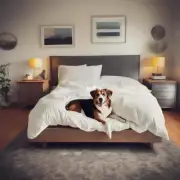 狗在床上撒尿的时机是什么?