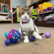 为什么布偶猫喜欢玩耍?