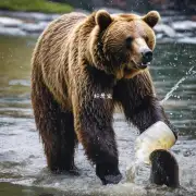 比熊和小便如何克服恐惧?