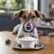 狗狗对酸奶的味道有什么偏好?