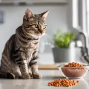 如何确保我的猫粮新鲜和安全?