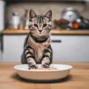 猫咪每天吃多少类型的蛋白质?