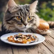 猫咪益生菌的最佳食用方式是什么?