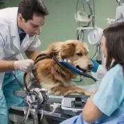 麻醉期间狗咪的血压如何?