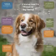狗子上有哪些不同的学习方法?