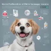 如何选择宠物犬疫苗的储存期限?