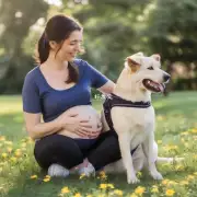 为什么狗会对孕妇产生如此强烈的支持感?