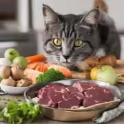 如何才能让猫在不同的食物中获得营养?