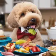 泰迪狗的哪些器官可以帮助它消化食物?