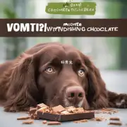 为什么狗吃巧克力会引起呕吐?