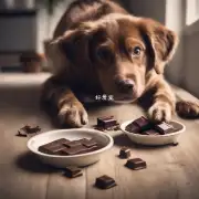 为什么狗吃巧克力会引起食欲减少?
