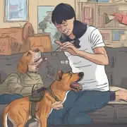 如何才能帮助狗狗在长牙老咬人的过程中保持冷静?