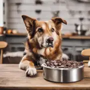 为什么狗吃巧克力会引起食欲增加?