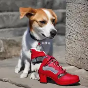 狗子的咬鞋子为什么要咬到特定的角度?