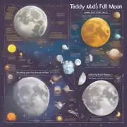 泰迪满月时月亮上有哪些不同的形状?