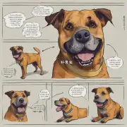 如何才能用简单易懂的语言解释狗狗长牙老咬人的预防方法?