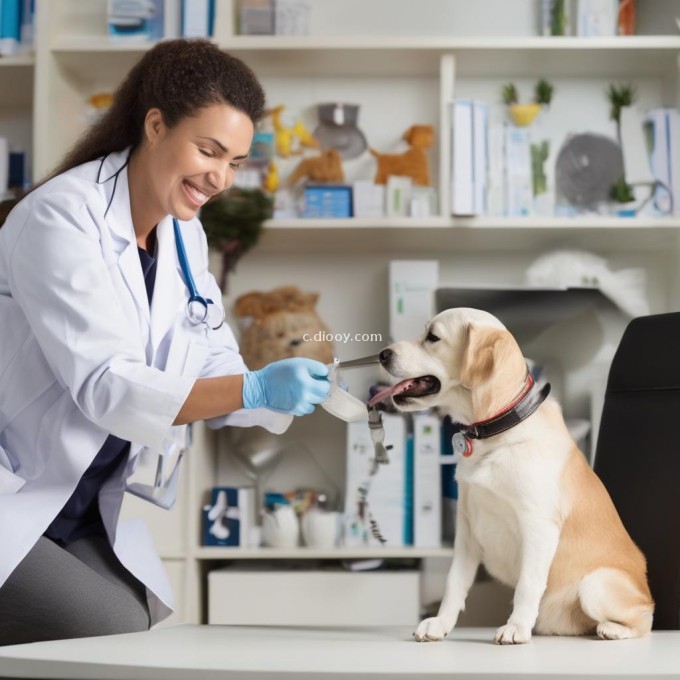 当寻找附近最好的宠物医生时应该考虑哪些因素？