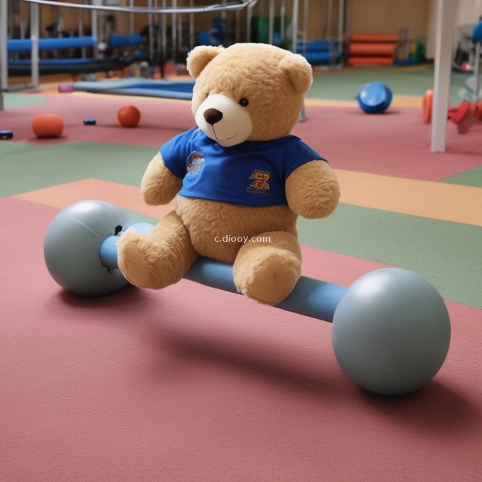 如何为泰迪熊提供足够的运动空间和平衡训练来维持其健康状况？