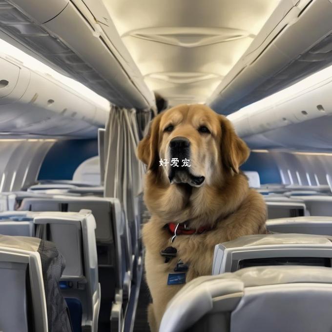 为什么一些航空公司不接受大型犬作为乘客而其他则会接受？这取决于什么标准或者条件？