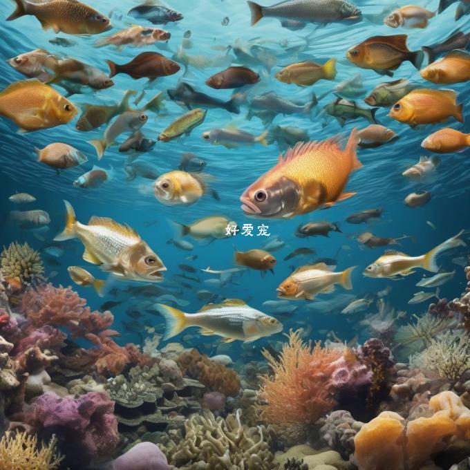 我们先从定义开始鱼是一种生活在水中生活的脊椎动物类群之一它们以水生植物浮游生物和小型无脊椎动物为食或吞噬其它鱼类作为食物来源那么我们就可以这样问道了为什么我们在观察到某些种类的鱼时发现它们会停留在底部？
